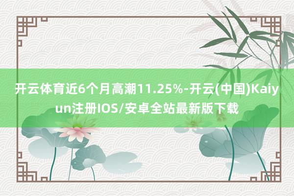 开云体育近6个月高潮11.25%-开云(中国)Kaiyun注册IOS/安卓全站最新版下载