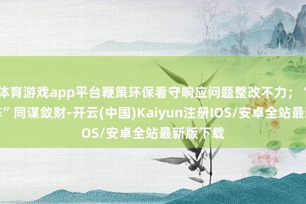 体育游戏app平台鞭策环保看守响应问题整改不力；“兄弟上阵”同谋敛财-开云(中国)Kaiyun注册IOS/安卓全站最新版下载
